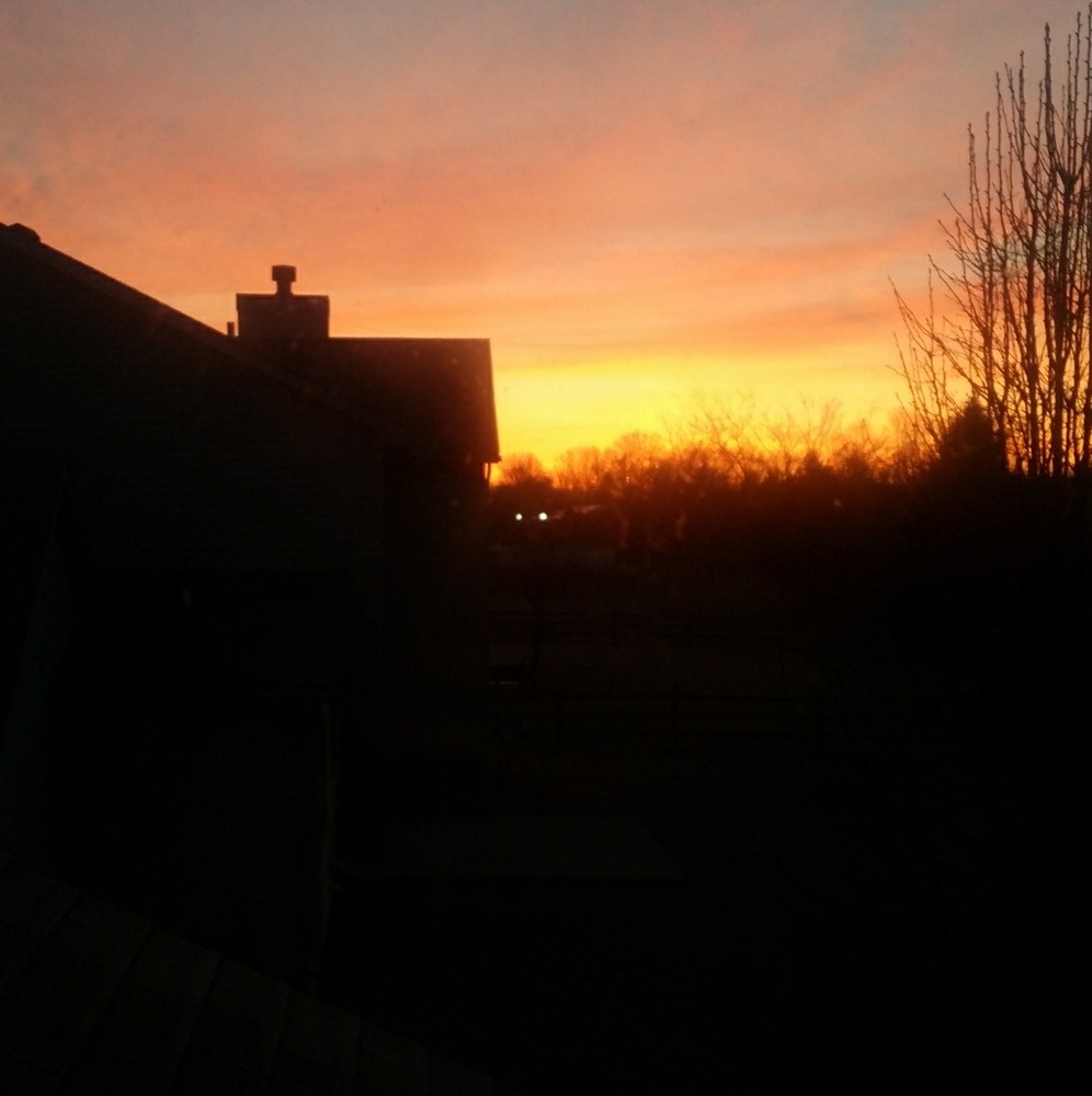 Meet your Posher, Nina